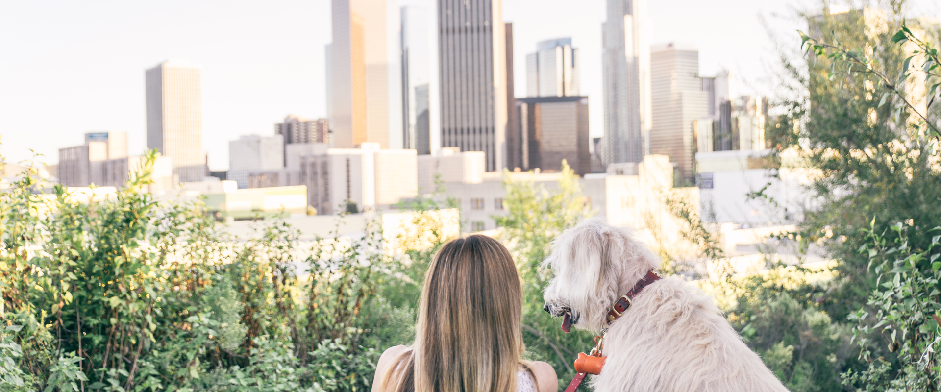a pet parent and large white dog on a bench facing a view of downtown LA
