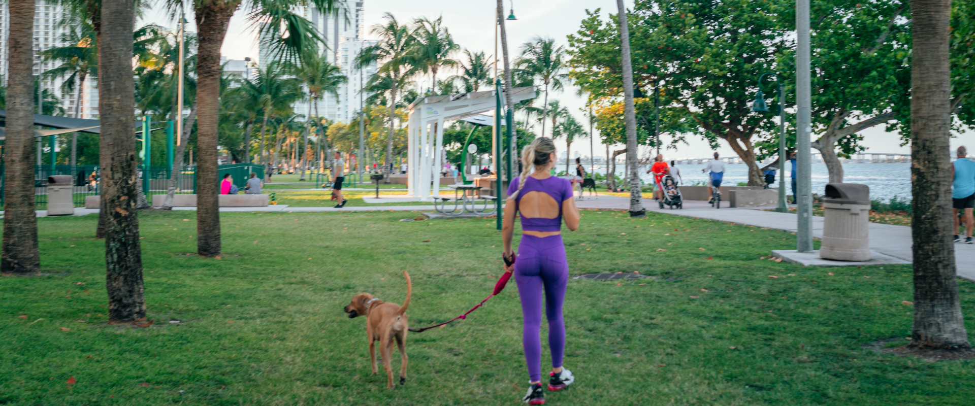 a woman in a purple running outfit jogging through a Miami park with a dog