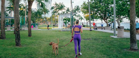 a woman in a purple running outfit jogging through a Miami park with a dog