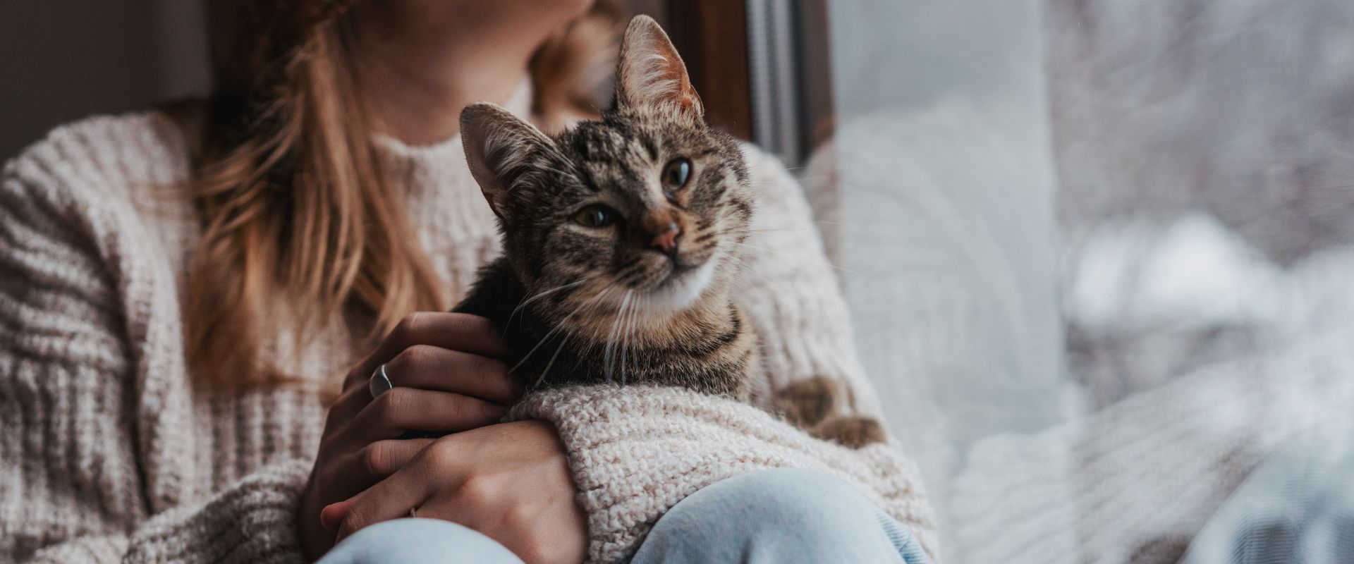 Cat Sitter Prices Near You | Local Cat Sitting Rates ...
