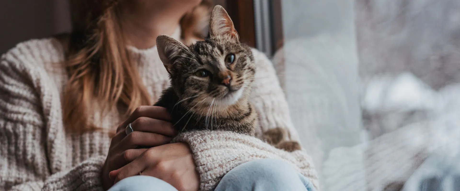Cat Sitter Prices Near You | Local Cat Sitting Rates ...