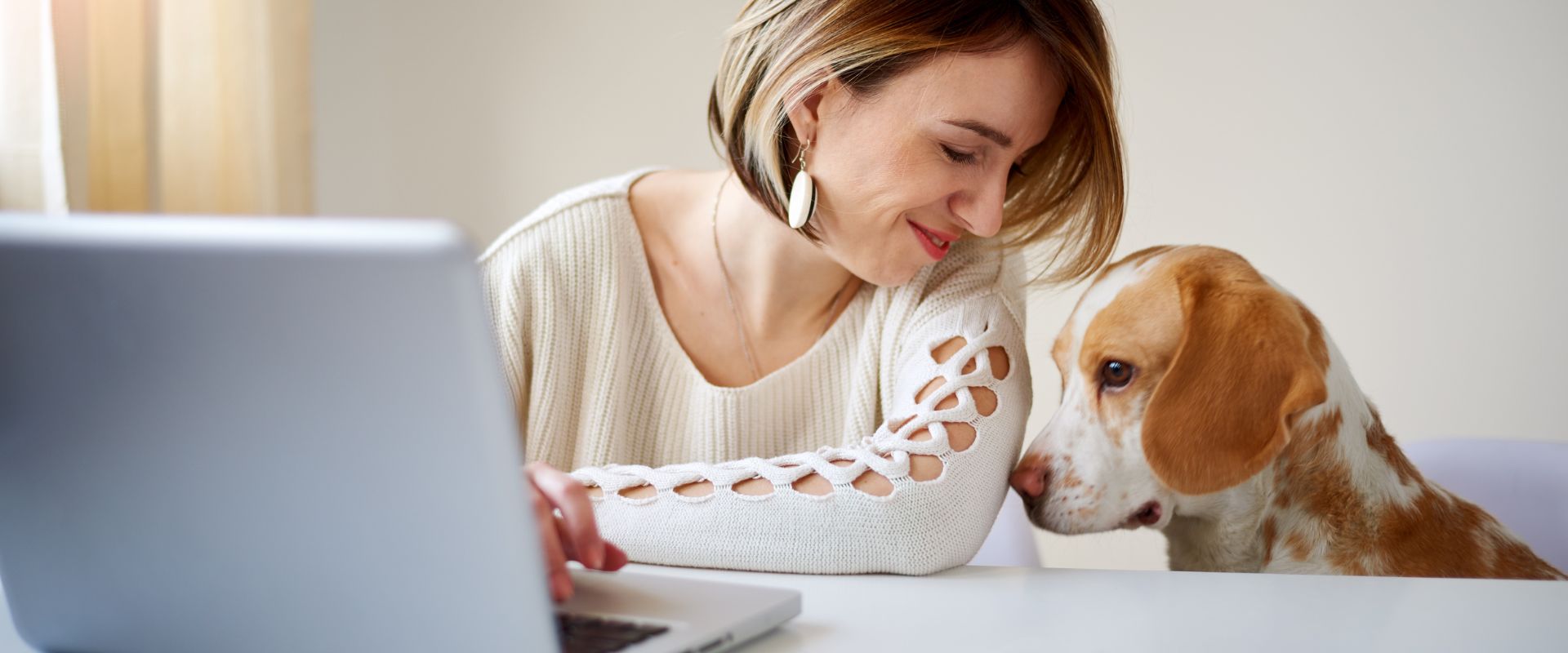 Woman working at a laptop with a brown and white dog sat next to her