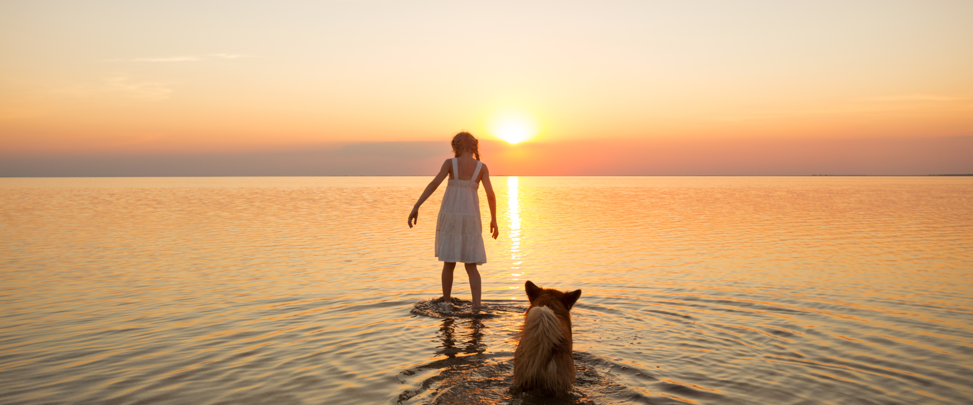 a woman and dog wading into the sea on a beach in Jacksonville