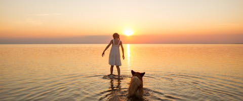 a woman and dog wading into the sea on a beach in Jacksonville