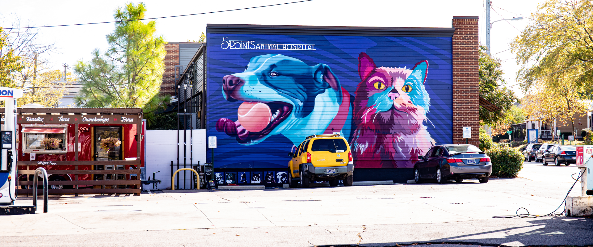 a colorful mural of a panting dog and cat