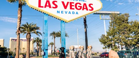 four dogs sitting in front of the Las Vegas welcome sign