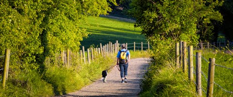 a person and dog on a dog-friendly trail, Chichester