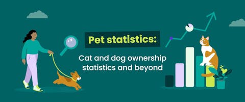 Pet statistics blog banner