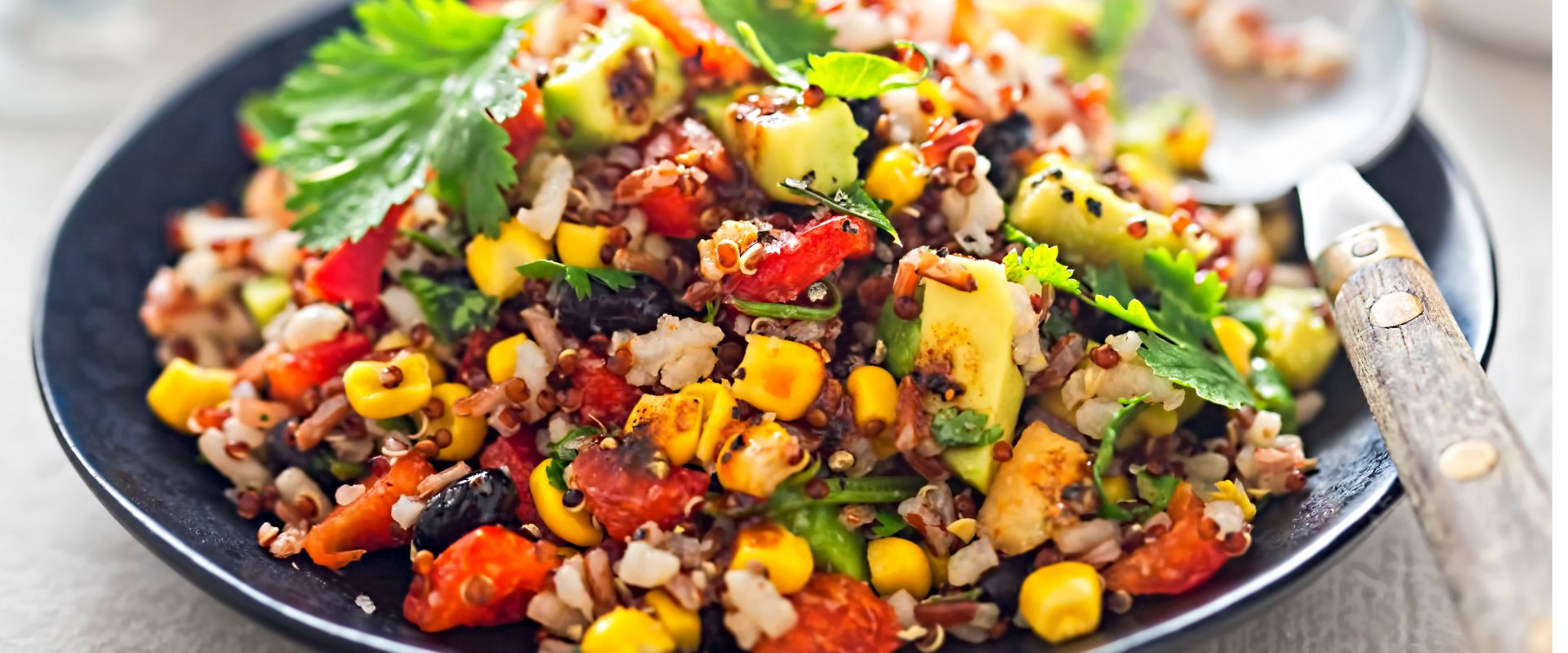 Can Dogs Eat Quinoa?