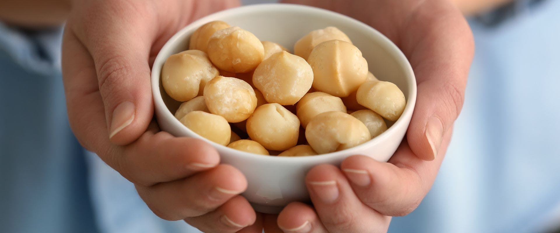 White bowl of macadamia nuts