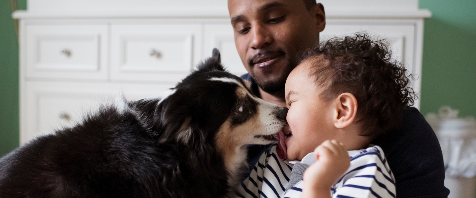 How to Get my Dog to Stop Licking me