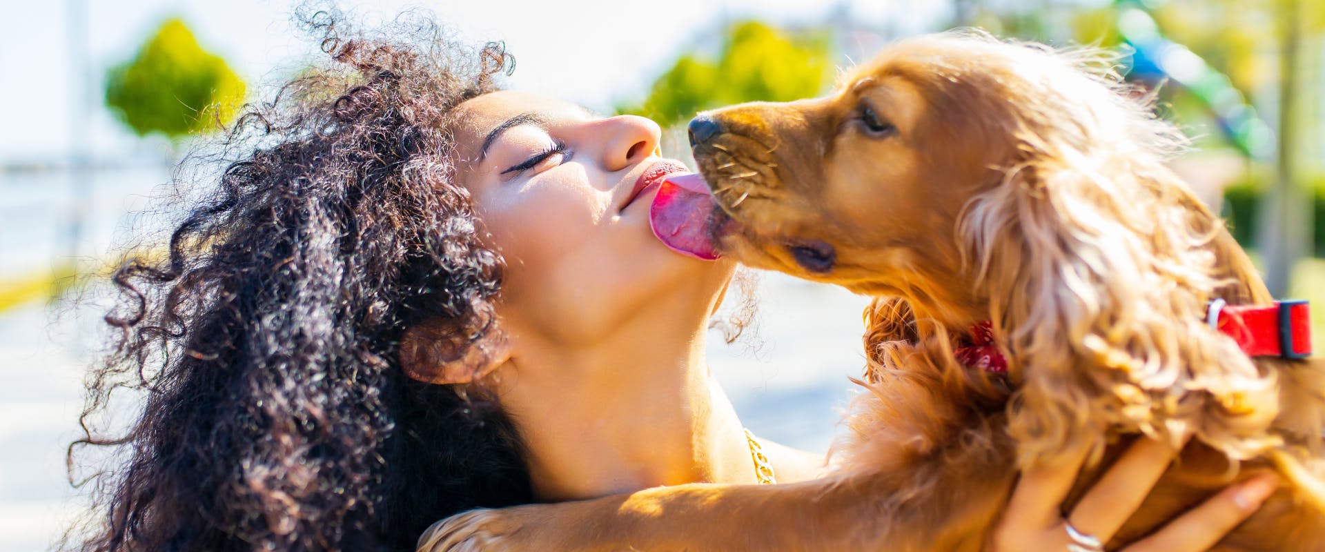A dog licks a woman.