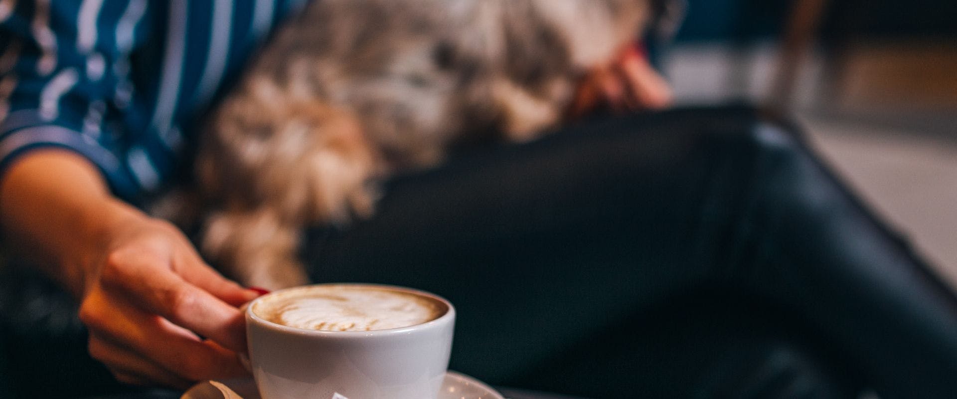 Latte in a white mug with a person and dog in the background