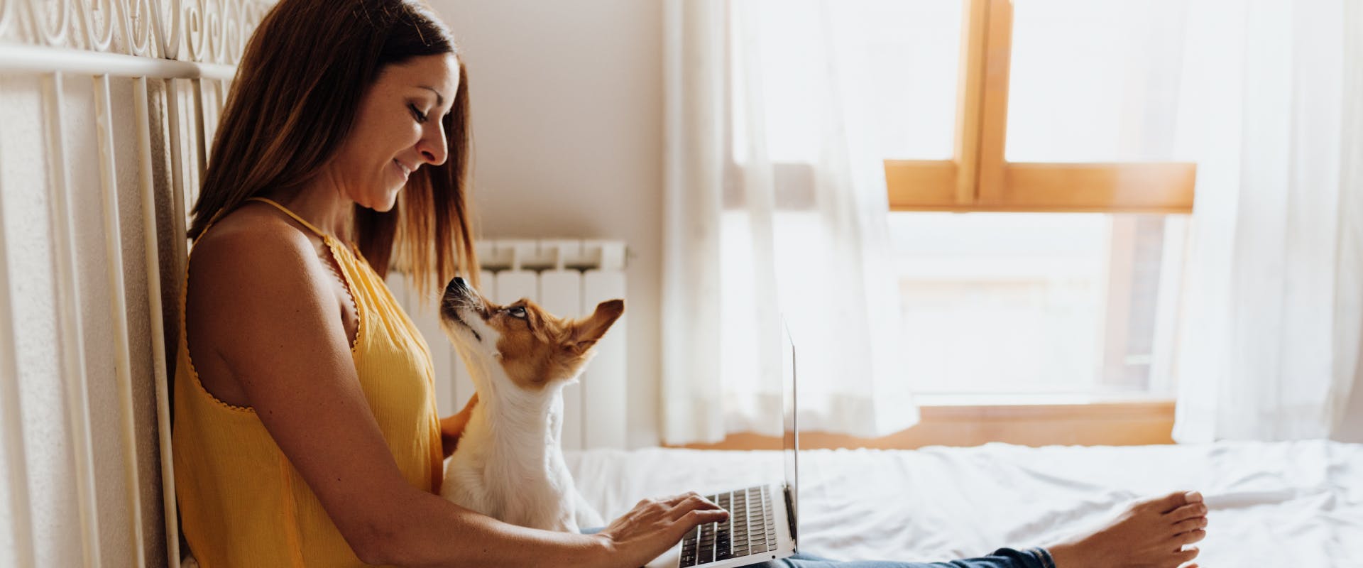 a house sitter sitting on a bed with a laptop and dog on their lap