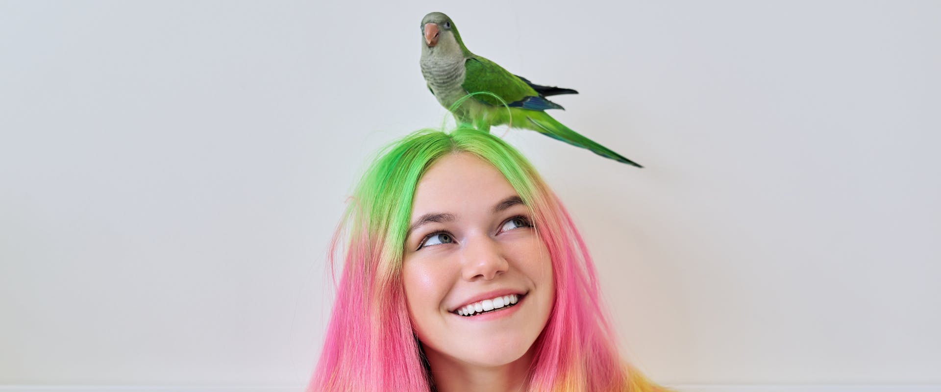 a pet sitter with multi-colored hair looking up at a green parrot sat on her head