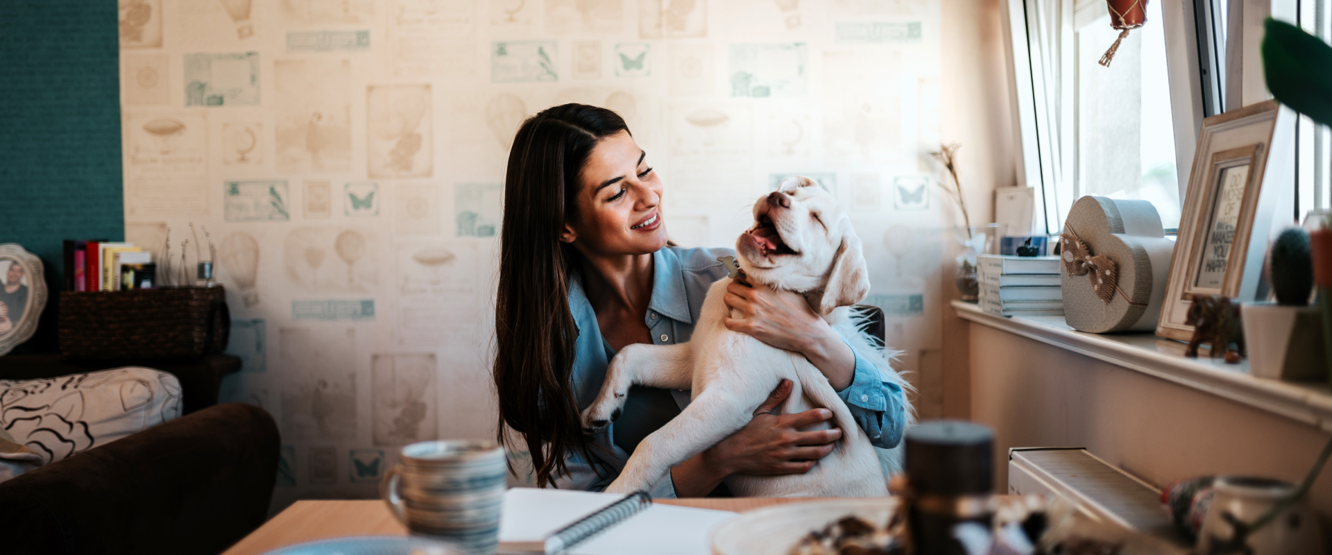 a house sitter sat at a desk while holding a happy looking Labrador puppy