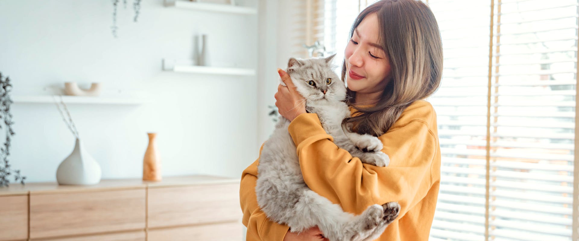 a woman in a yellow jumper cradling and stroking a long haired cat