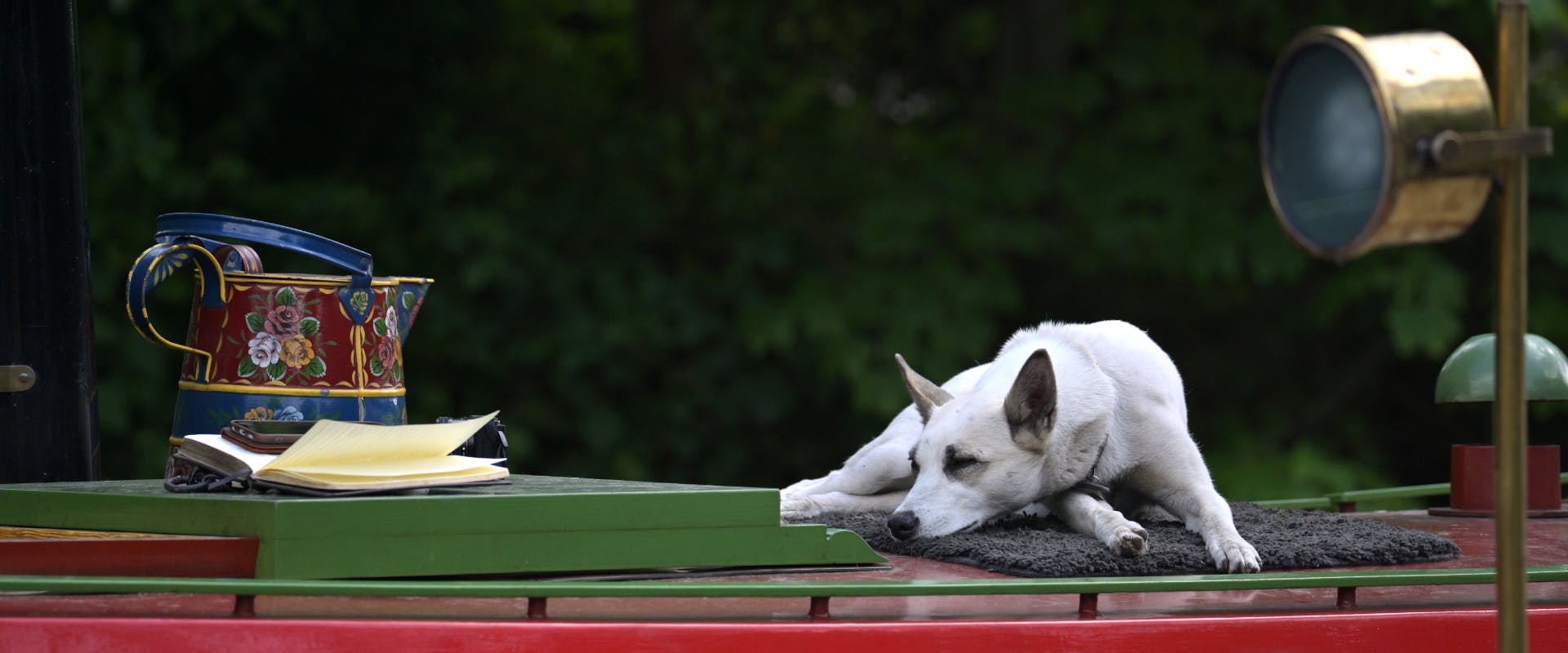 a white dog lying on a dog bed placed on the roof of a house boat
