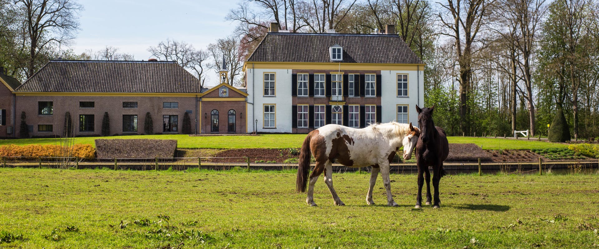 Two horses in the grounds of a historic property.