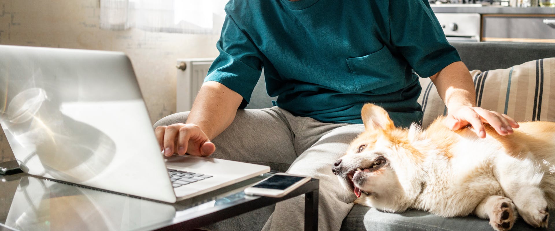 A man writes an introduction with a Corgi by his side.