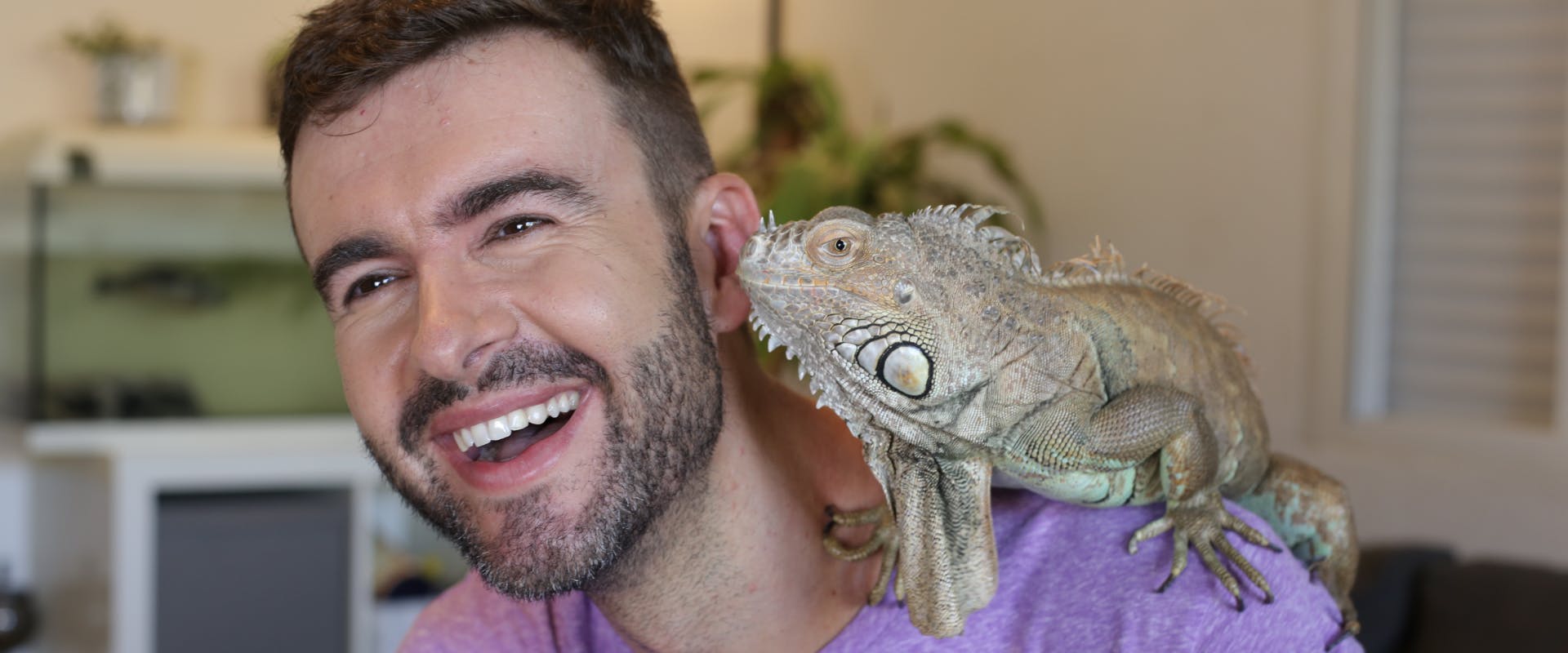 a smiling man in a purple t-shirt with an iguana sitting on his left shoulder