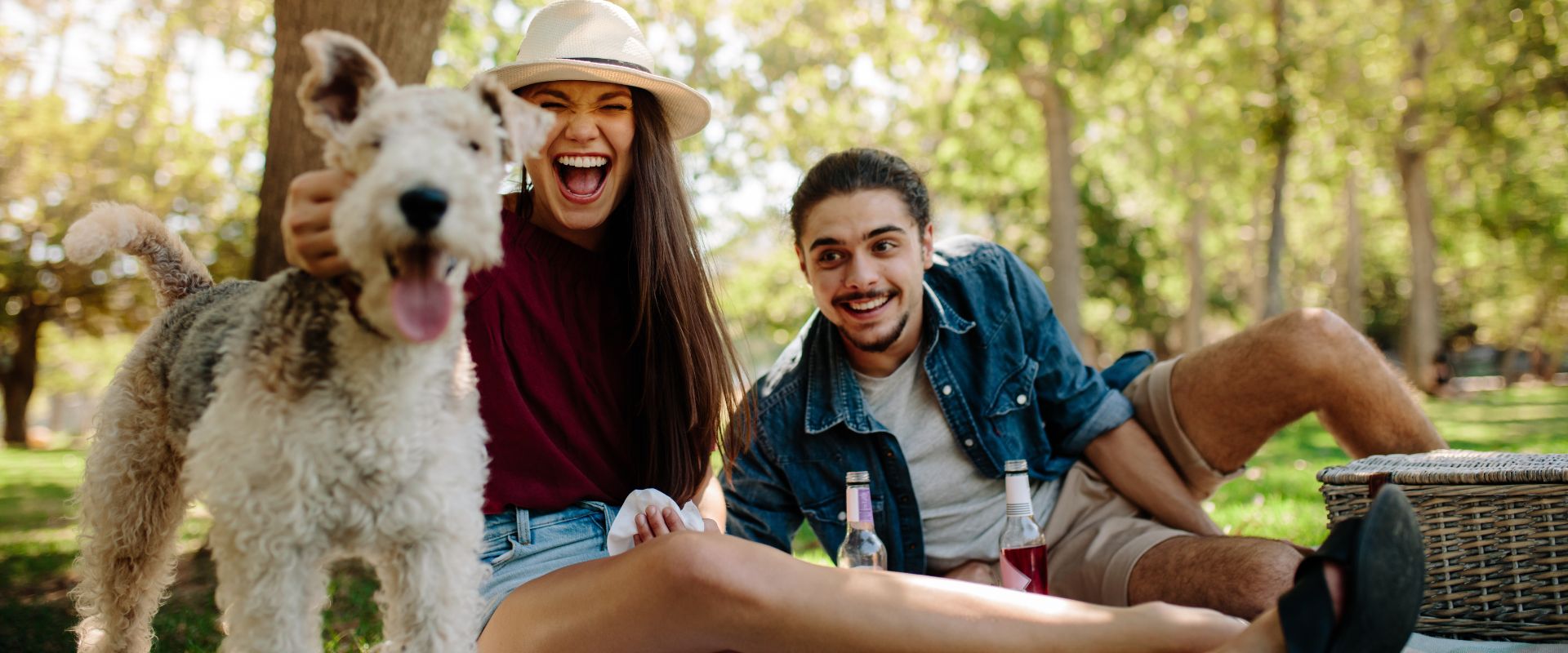 Dog Sitting Rates Explained | TrustedHousesitters.com