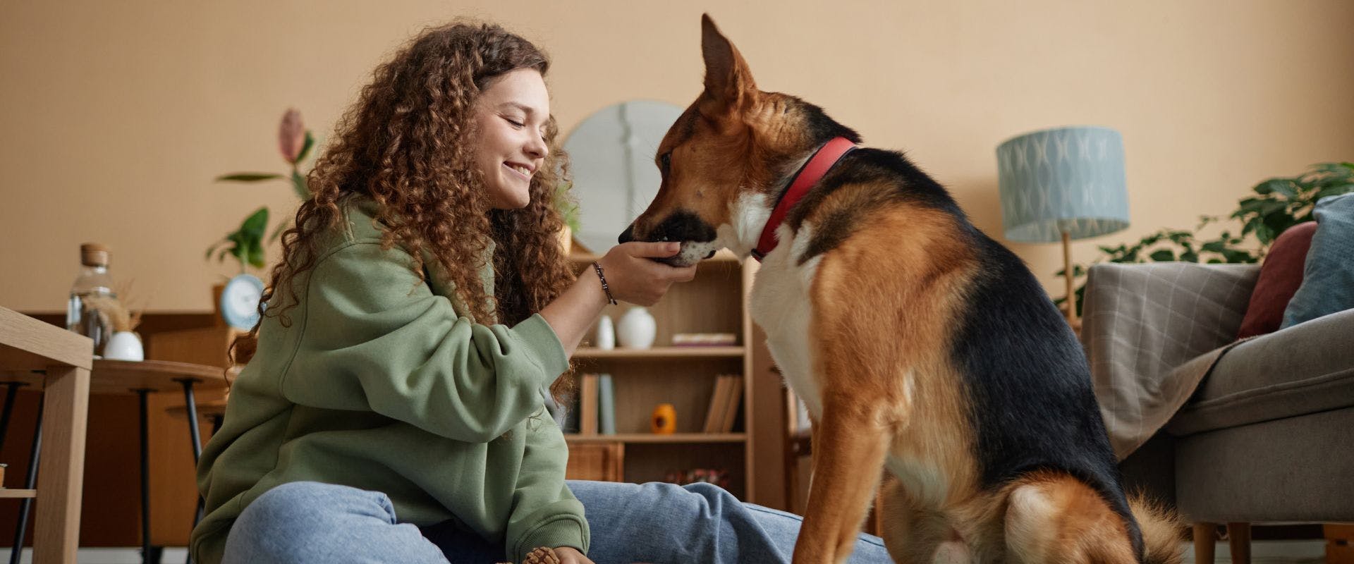 Side view of woman petting a large brown, black and white dog while sitting on the floor of a cosy home