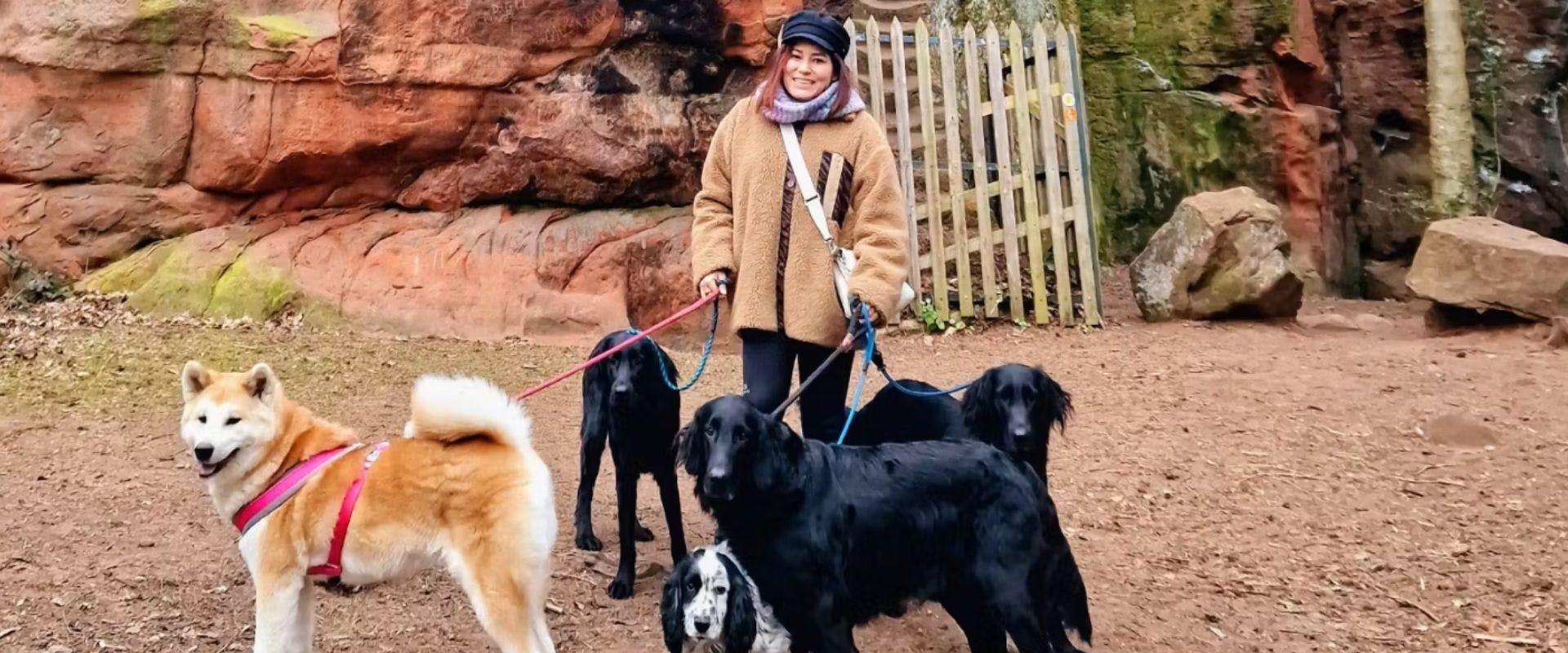 Pet sitter, Nikita standing with five dogs