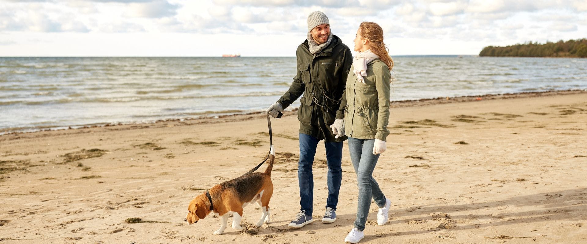 Couple walking a Beagle on the beach