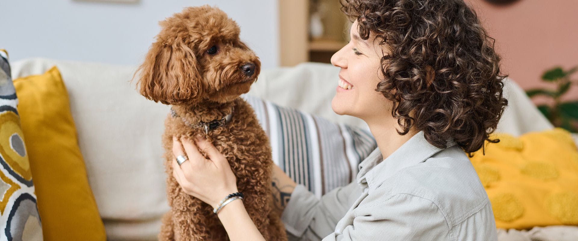 Woman cuddling a small Doodle dog who is sitting on a sofa