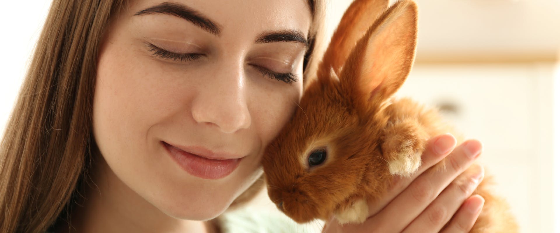 A bunny sitter holds a pet rabbit.