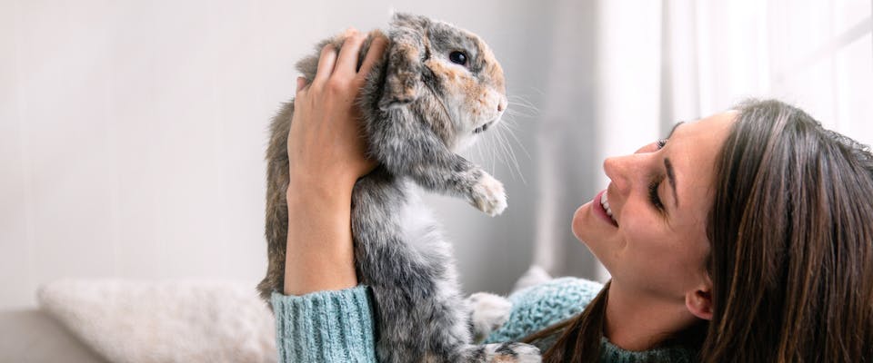 A woman holding a rabbit pet.