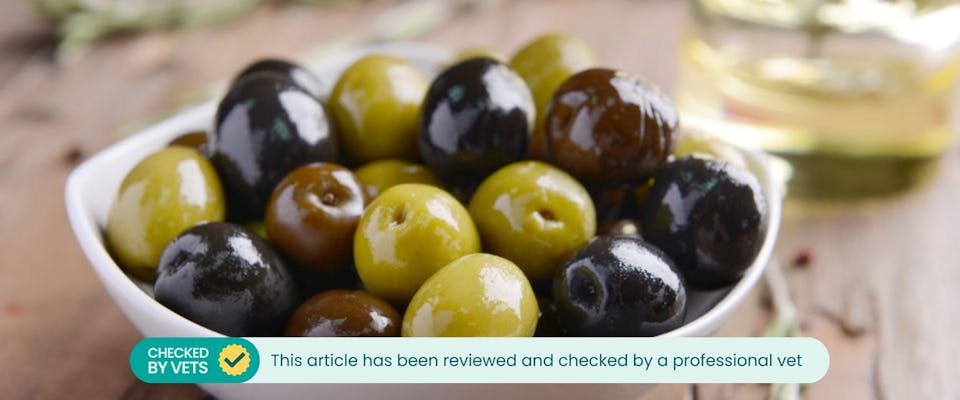 Bowl of black and green olives