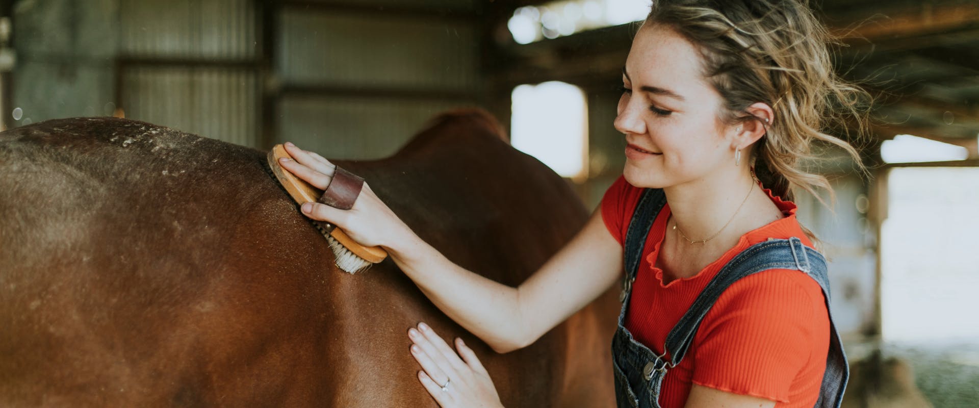 a smiling woman in a red shirt and dungarees brushing down a brown horse