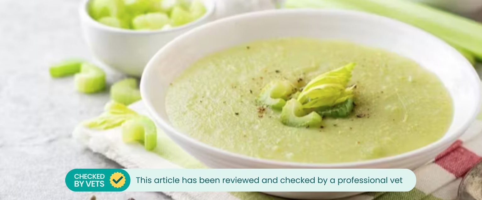 Celery soup in a white bowl