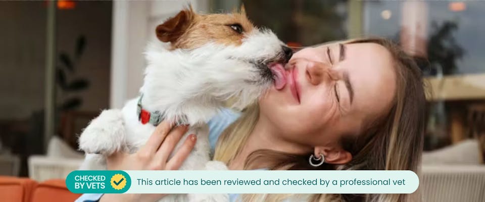 A dog licking a woman.