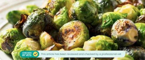 Charred bowl of Brussels sprouts