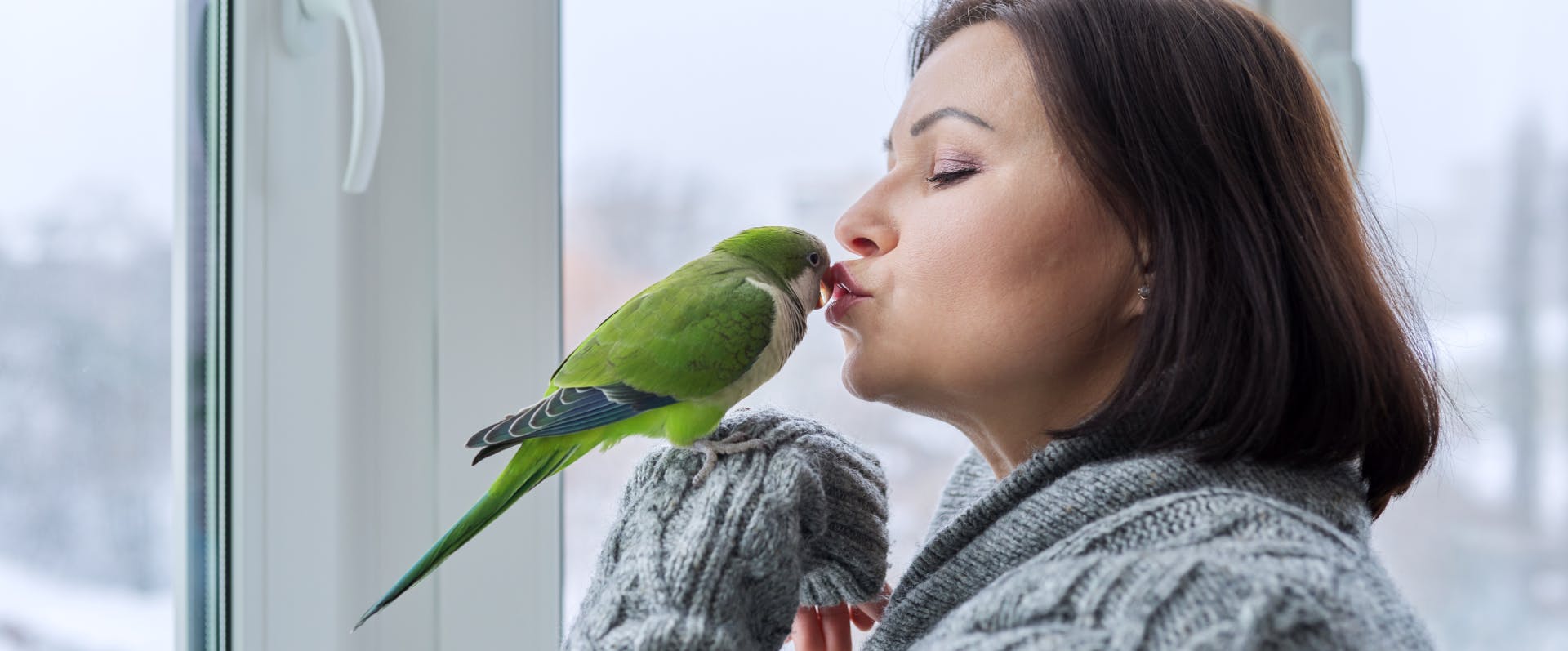 a bird sitter kissing the head of a green parakeet which is perched on the back of her raised hand