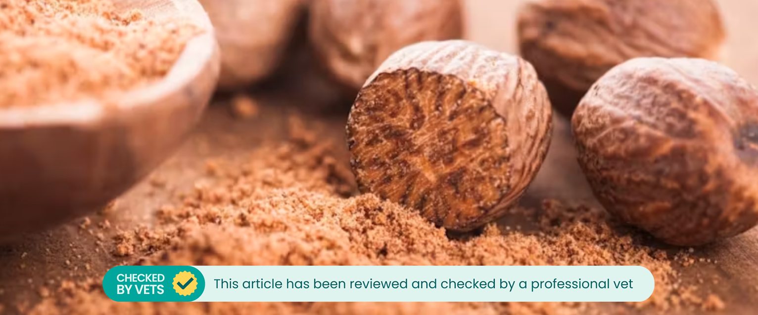 Close-up of grated nutmeg