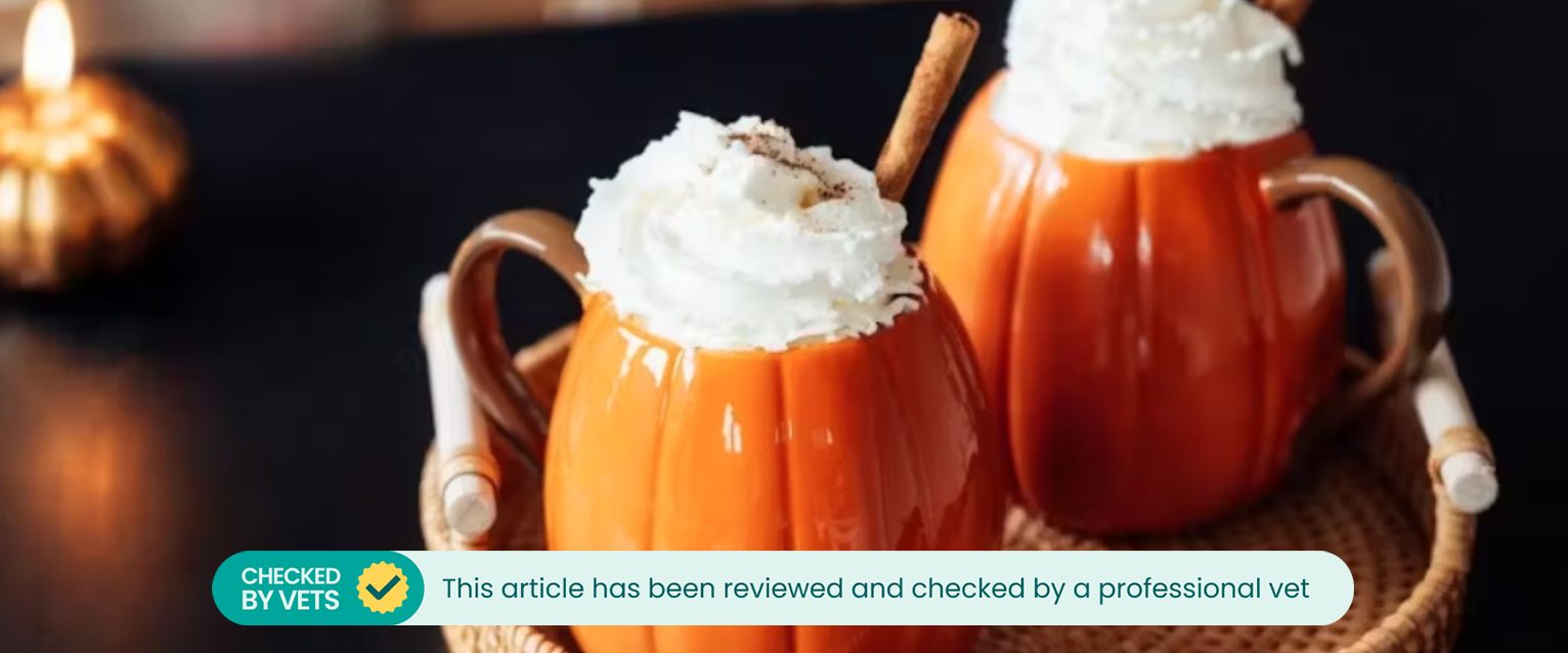 Pumpkin spice lattes in pumpkin-shaped mugs