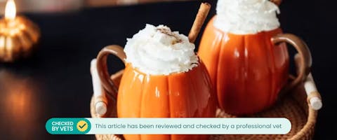 Pumpkin spice lattes in pumpkin-shaped mugs