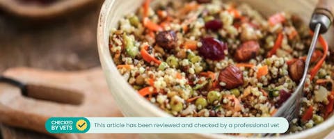 Close-up of quinoa salad in a bowl