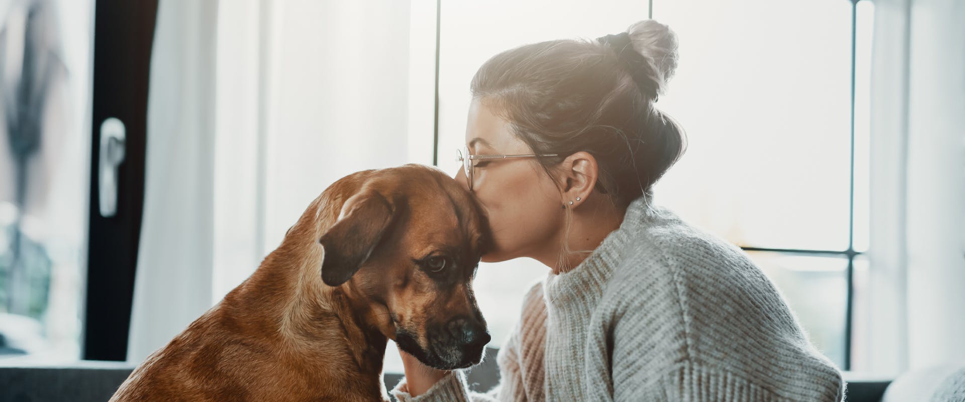 a woman with glasses on a hair tied up kissing the top of the head on a large brown dog