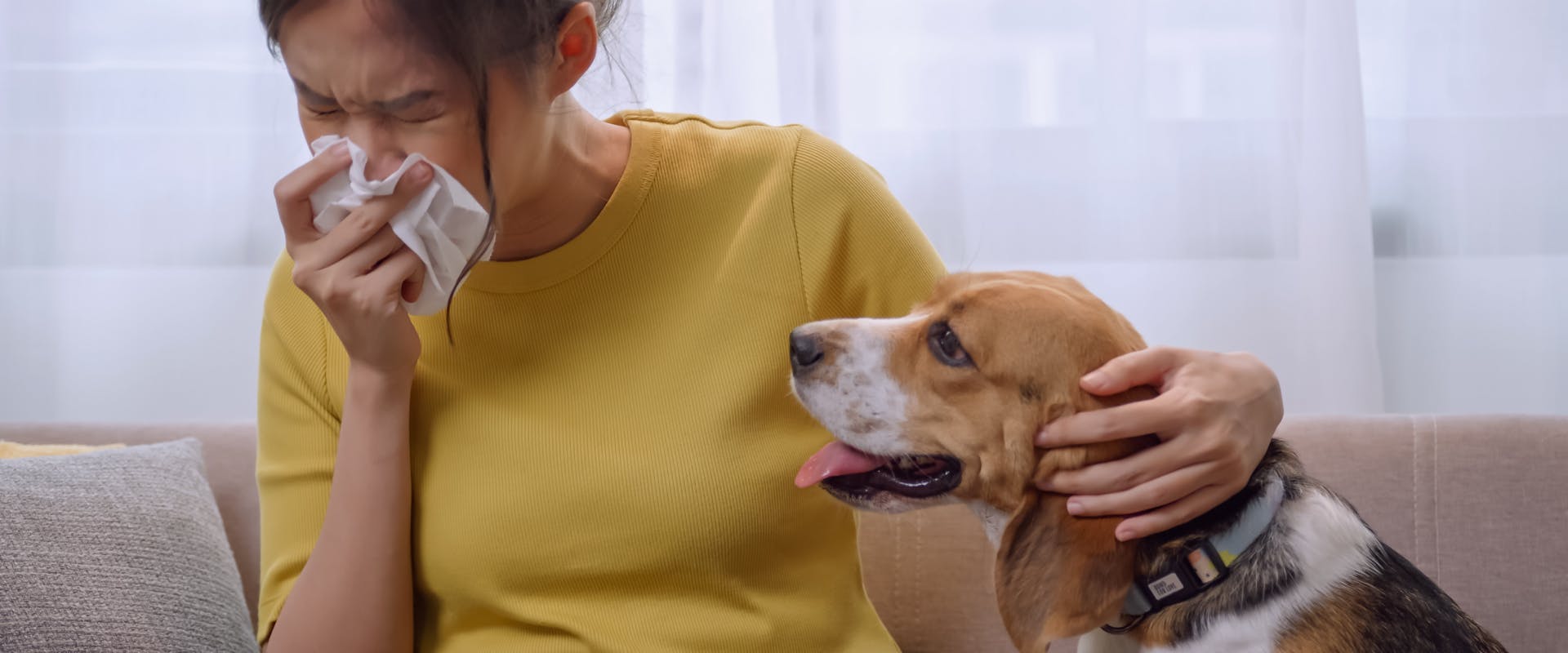 a woman with a yellow top sneezing into a tissue while sat next to a beagle on a couch