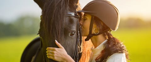 A horse carer and a horse.