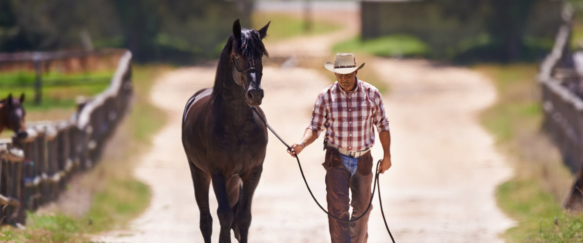 a cowboy walking a horse down a dusty road at a ranch