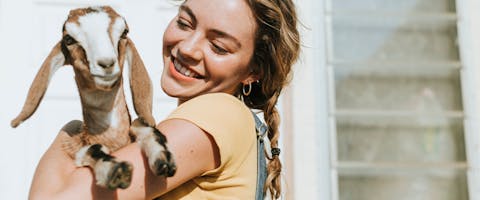 A farm sitter holds a goat.