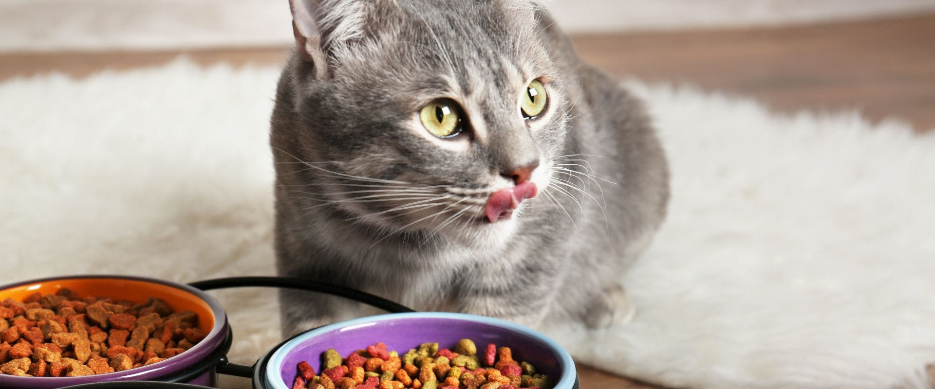 The Ultimate List Of Grain-Free Cat Foods To Keep Your Cat Healthy 2 grain-free cat foods