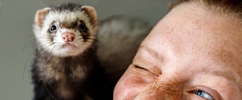 A small animal pet sitter with a ferret on her shoulder.
