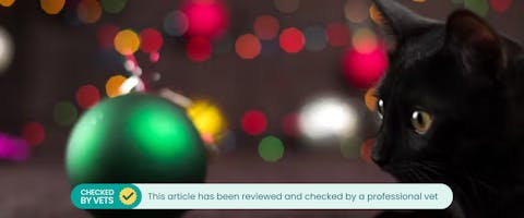 a young black cat lying on the floor looking at a green christmas ball ball
